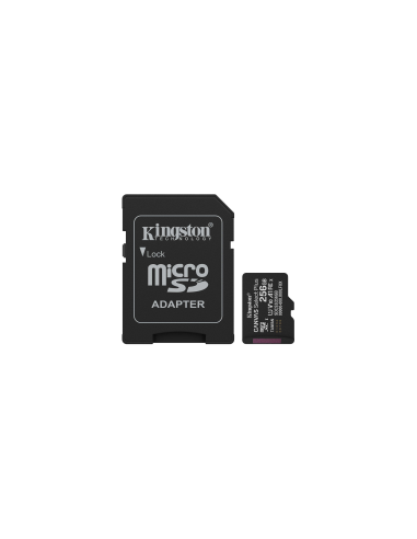 Kingston 256GB microSDXC Canvas...